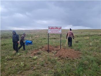 احداث مجتمع فرهنگی ، ورزشی و رفاهی